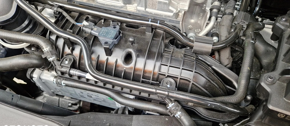 Volkswagen Polo cena 41000 przebieg: 4000, rok produkcji 2024 z Koszalin małe 781